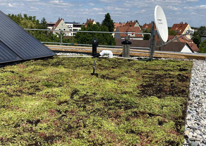 Dachbegrünung